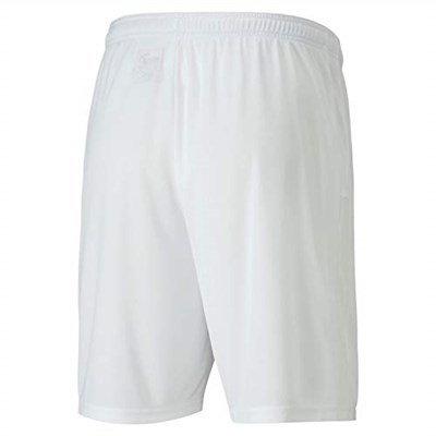 PUMA Teamgoal 23 Knit Shorts Şort Erkek