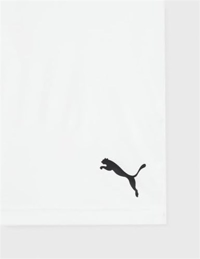 PUMA Teamgoal 23 Knit Shorts Şort Erkek