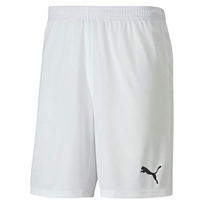 PUMA Teamgoal 23 Knit Shorts Şort Erkek