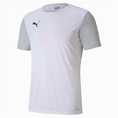 PUMA teamGOAL 23 Sideline Tee Tişört Erkek
