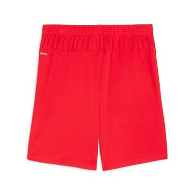PUMA Teamgoal ŞortÖrgü şortÜniseks Yetişkin - Bedenler: 2XL, 3XL, S, M, L, XX-Large, XL