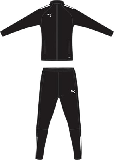 PUMA Teamliga eşofman takımıeşofman takımıErkek
