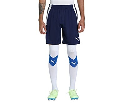 Puma TeamLiga Training Football Erkek Şort