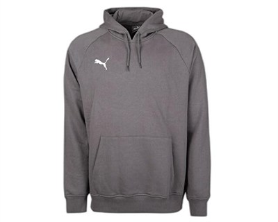 Puma Turkey Hoodie Türkiye Futbol Antrenman Sweatshirt Turkey Hoodie