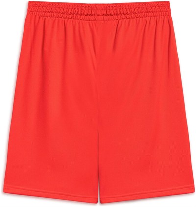 Puma Turkey Practice Short Erkek Türkiye Basketbol 60547202 Kırmızı