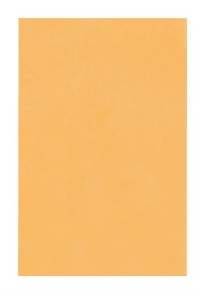 Quality Park #1 Bozuk Para ve Küçük Parça Zarfı, 28 lb. Kahverengi Kraft, 5.7x8.9 cm, 500lü Kutu (50162)