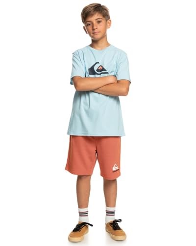 Quiksilver Comp Logosu Tişört Erkek çocuk