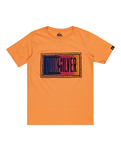Quiksilver Day Tripper Çocuk T-shirt Turuncu, EQBZT04714-NJF0