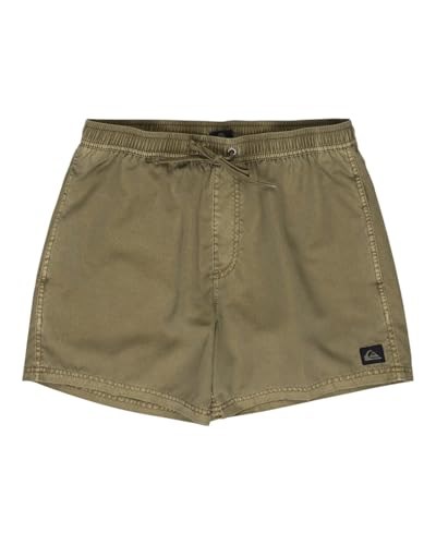 Quiksilver Erkek Everyday Surfwash Volley 15 Board Şort
