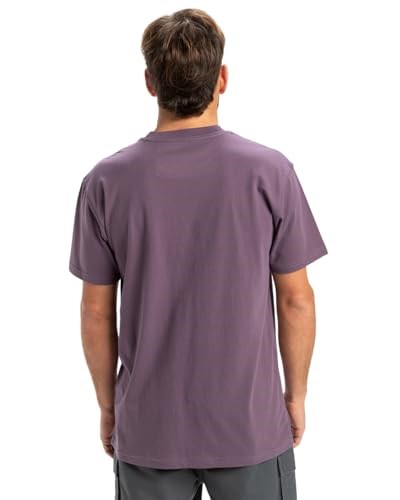 Quiksilver Ev Mini Logo Ss Tişört Erkekler