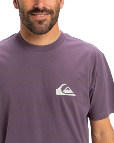 Quiksilver Ev Mini Logo Ss Tişört Erkekler
