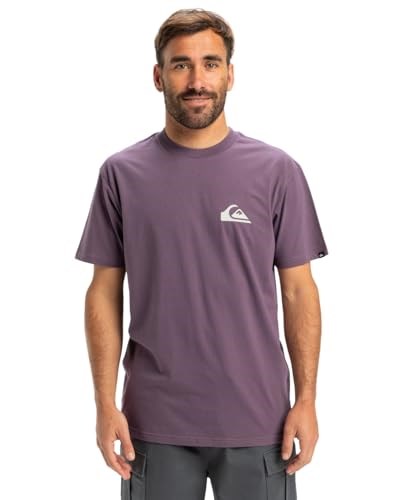 Quiksilver Ev Mini Logo Ss Tişört Erkekler