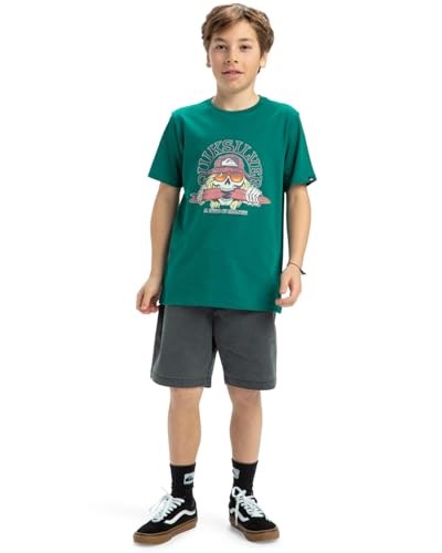 Quiksilver Ev Skull Feast SS YTH Erkek Çocuk Tişörtü (1li Paket)