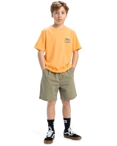 Quiksilver Ev Sunny Palms SS Yth Kısa Kollu Tişört Çocuk 0-24