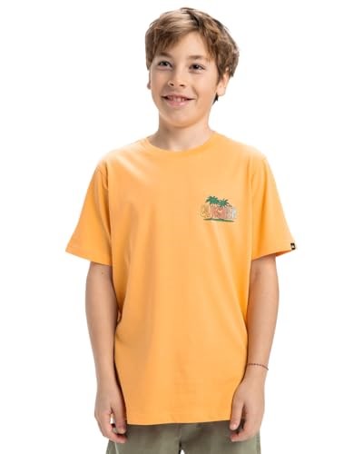 Quiksilver Ev Sunny Palms SS Yth Kısa Kollu Tişört Çocuk 0-24