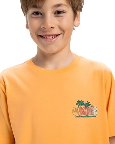 Quiksilver Ev Sunny Palms SS Yth Kısa Kollu Tişört Çocuk 0-24