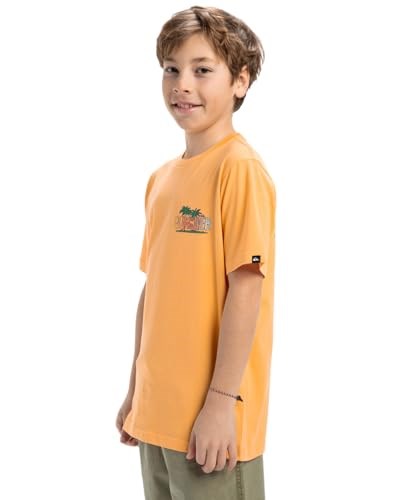 Quiksilver Ev Sunny Palms SS Yth Kısa Kollu Tişört Çocuk 0-24