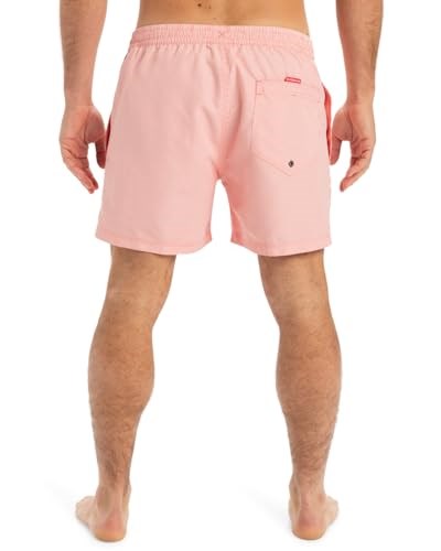 Quiksilver Everyday Deluxe Volley 15sörf şortuErkek