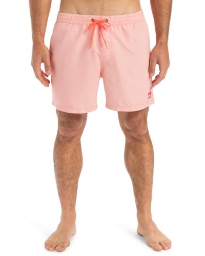 Quiksilver Everyday Deluxe Volley 15sörf şortuErkek