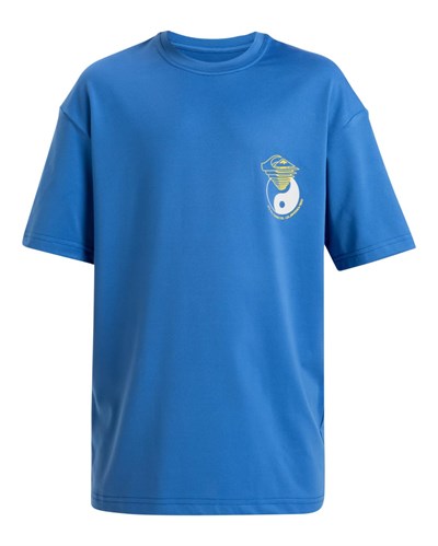 Quiksilver Everyday Surf Tee Ss Gençlik Tişört Erkek çocuk