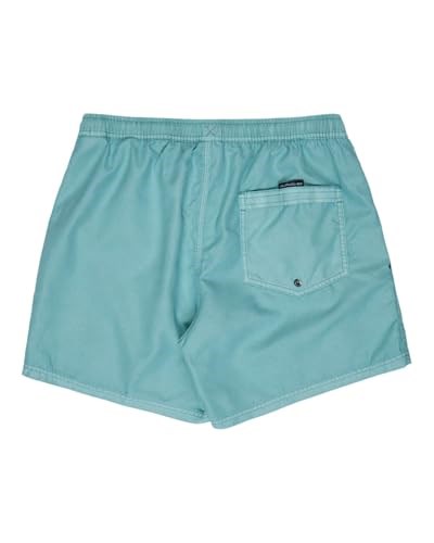 Quiksilver Everyday Surfwash Volley 15sörf şortuErkek