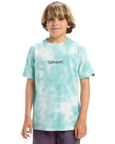 Quiksilver Frog Ritual Youth Erkek Çocuk Mavi Tişört