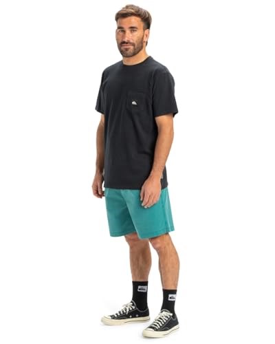 Quiksilver Taxer WS - Şort - Taxer WS - Erkek