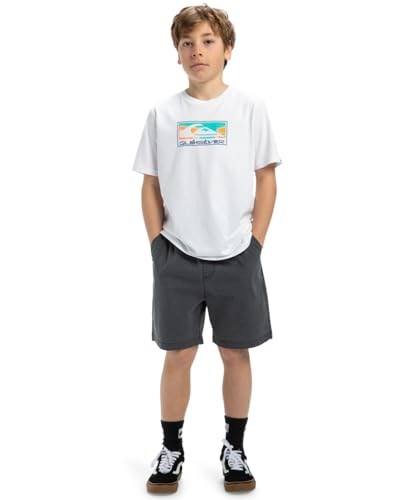 Quiksilver Taxer Youth Şort Erkek bebek