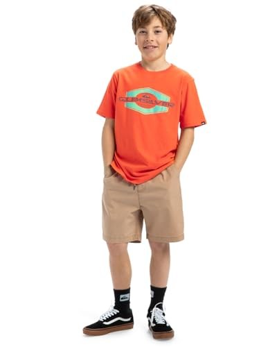 Quiksilver Taxer Youth Şort Erkek çocuk