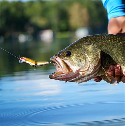 Rapala Jointed Sahte Balığı
