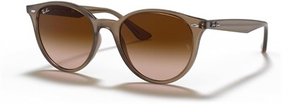 RAY-BAN 4305 616613 53 Kadın Güneş Gözlüğü