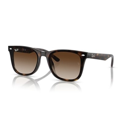 Ray-Ban Rb4420 Kare Güneş Gözlüğü