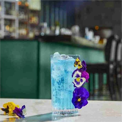 RCR Timeless Yüksek Kalite Cam 6lı Meşrubat Bardağı Seti 440 ml