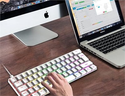 ROBEVE Blic Oyuncu Klavyesi RGB Klavye 20 Modlu Ayarlanabilir Renk Seçeneği RGB Suya Ve Toza Dayanıklı Klavye Oyun Klavyesi Oyuncu Klavye Mekanik Klavye Kırmızı Switch (Beyaz)