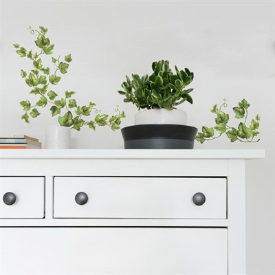 RoomMates 54225 sarmaşık