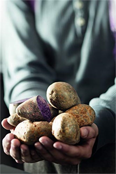 RÖSLE Patates Çatalı 12754 - Paslanmaz Çelik 17 cm, Kulp Uzunluğu 10 cm, Çatalın Üç İnce Ucu, Sıcak Patatesleri Soyarken Güvenli Bir Şekilde Tutar - Seçenekler: Pelüş patates çatalı, patates presi