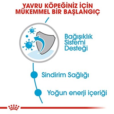 Royal Canin Mini Puppy Köpek Yaş Mama, 85 Gr