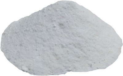 Salça Domates Turşu Koruyucu Toz Salisilik Asit 100 Gr Paket