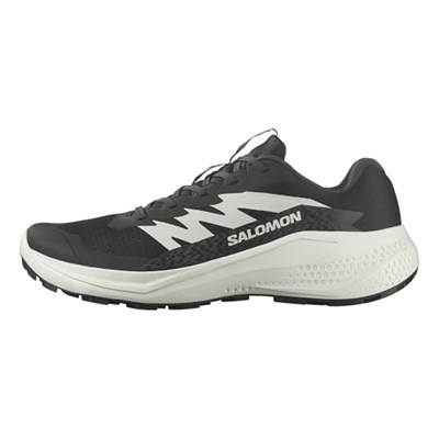 Salomon Alphaglide erkek yürüyüş ayakkabısı