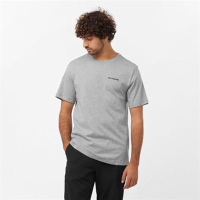 Salomon, Erkek, GRAPHIC PERF SS TEE M, Koşu T-Shirt