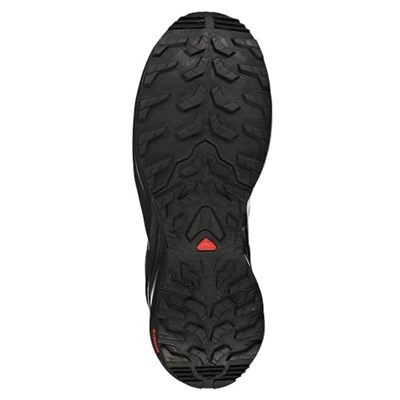 Salomon