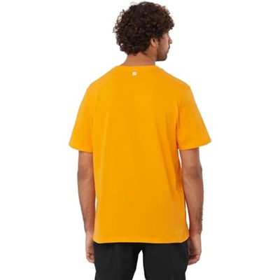 Salomon Lc2219200 Graphic Ss Tee M Kahverengi Erkek T-Shirt