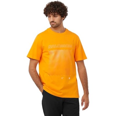 Salomon Lc2219200 Graphic Ss Tee M Kahverengi Erkek T-Shirt