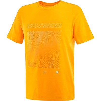 Salomon Lc2219200 Graphic Ss Tee M Kahverengi Erkek T-Shirt