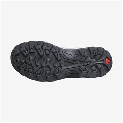 Salomon QUEST ROVE GTX W Kadın Outdoor Ayakkabı Gri 40.5