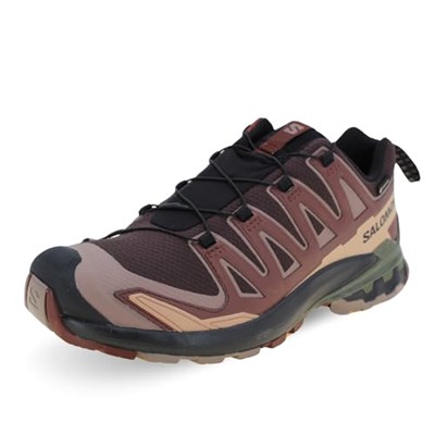 Salomon XA PRO 3D V9 GTX Yürüyüş Ayakkabısı Erkek