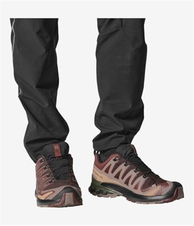 Salomon XA PRO 3D V9 GTX Yürüyüş Ayakkabısı Erkek