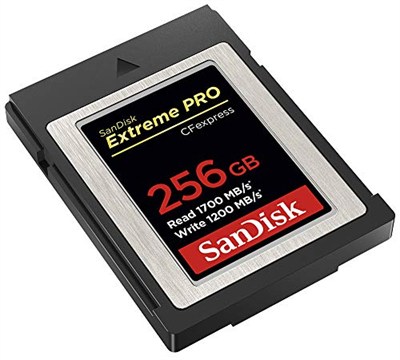 SanDisk Extreme Pro CFexpress hafıza kartı Tip B 256 GB (1.700 MB/s okuma, 1.200 MB/s yazma, RescuePRO Deluxe, sorunsuz RAW videolar, 4K, XQD uyumluluğu)