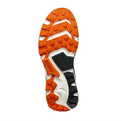 Scarpa