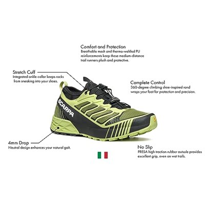 Scarpa